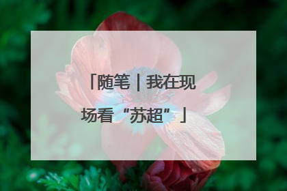 随笔｜我在现场看“苏超”