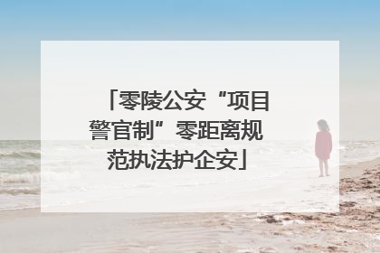 零陵公安“项目警官制”零距离规范执法护企安