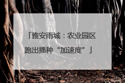 雅安雨城：农业园区跑出播种“加速度”