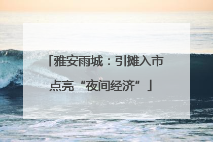 雅安雨城：引摊入市 点亮“夜间经济”
