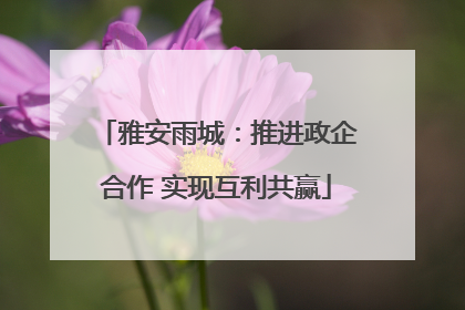 雅安雨城：推进政企合作 实现互利共赢