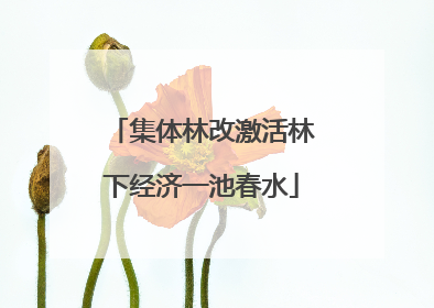 集体林改激活林下经济一池春水