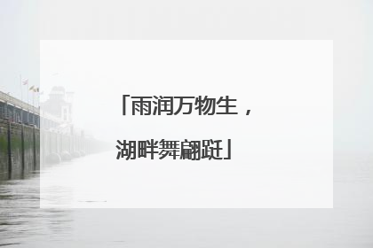 雨润万物生，湖畔舞翩跹