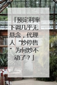 预定利率下调几乎无悬念，代理人“炒停售”为何炒不动了？
