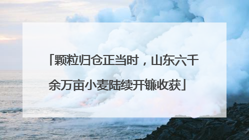 颗粒归仓正当时，山东六千余万亩小麦陆续开镰收获