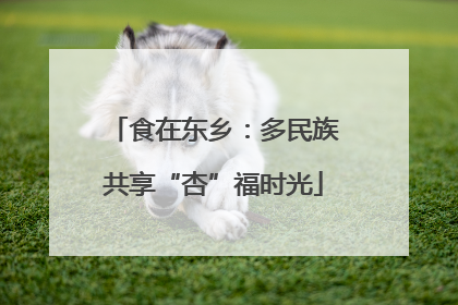 食在东乡：多民族共享“杏”福时光
