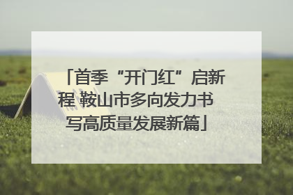 首季“开门红”启新程 鞍山市多向发力书写高质量发展新篇