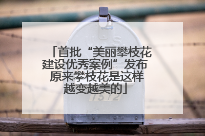 首批“美丽攀枝花建设优秀案例”发布 原来攀枝花是这样越变越美的