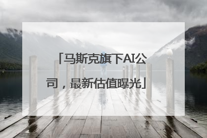 马斯克旗下AI公司，最新估值曝光