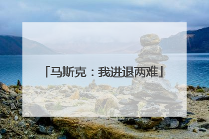 马斯克：我进退两难
