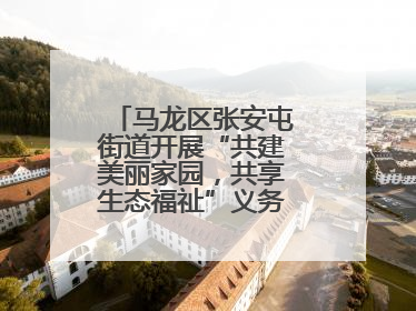 马龙区张安屯街道开展“共建美丽家园，共享生态福祉”义务植树主题活动