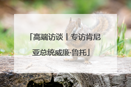 高端访谈丨专访肯尼亚总统威廉·鲁托