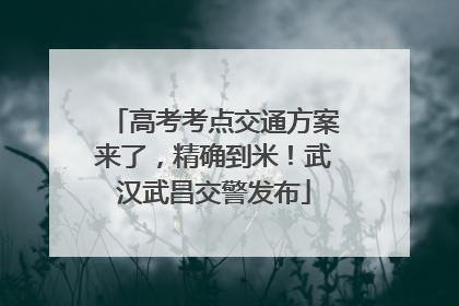 高考考点交通方案来了，精确到米！武汉武昌交警发布