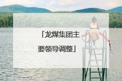 龙煤集团主要领导调整