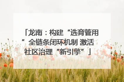 龙南：构建“选育管用”全链条闭环机制 激活社区治理“新引擎”