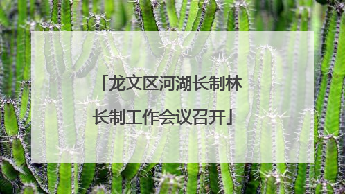 龙文区河湖长制林长制工作会议召开