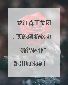 龙江森工集团：实施创新驱动 “数智林业”跑出加速度