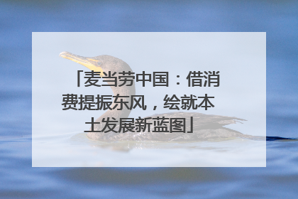 麦当劳中国：借消费提振东风，绘就本土发展新蓝图