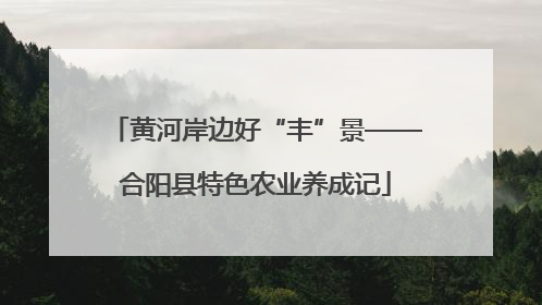 黄河岸边好“丰”景——合阳县特色农业养成记