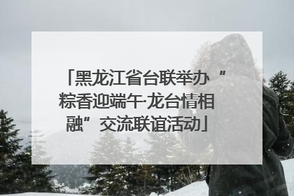 黑龙江省台联举办“粽香迎端午·龙台情相融”交流联谊活动