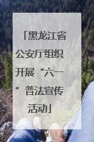 黑龙江省公安厅组织开展“六一”普法宣传活动