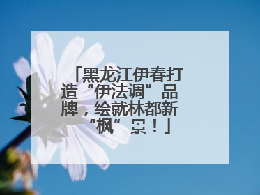 黑龙江伊春打造“伊法调”品牌，绘就林都新“枫”景！