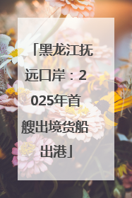 黑龙江抚远口岸：2025年首艘出境货船出港