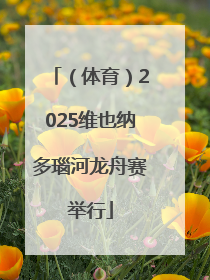 （体育）2025维也纳多瑙河龙舟赛举行