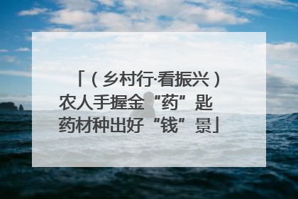 （乡村行·看振兴）农人手握金“药”匙 药材种出好“钱”景