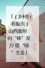 （乡村行·看振兴）山西襄垣：向“林”发力 借“绿”生金
