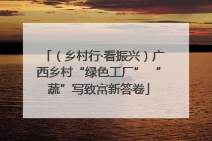 （乡村行·看振兴）广西乡村“绿色工厂” “蔬”写致富新答卷