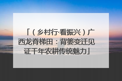 （乡村行·看振兴）广西龙脊梯田：背篓变迁见证千年农耕传统魅力