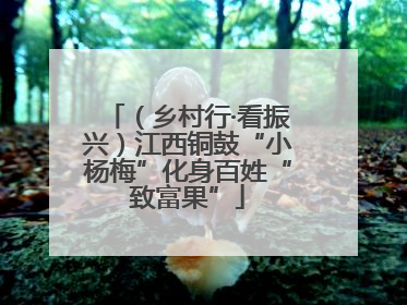 （乡村行·看振兴）江西铜鼓“小杨梅”化身百姓“致富果”