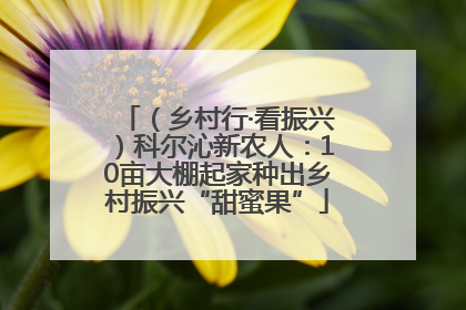 （乡村行·看振兴）科尔沁新农人：10亩大棚起家种出乡村振兴“甜蜜果”