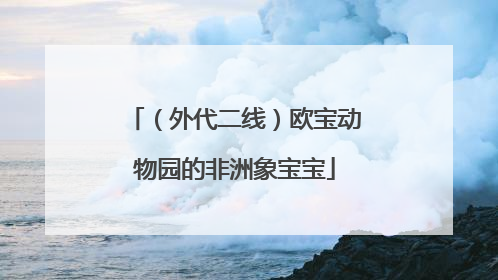 （外代二线）欧宝动物园的非洲象宝宝