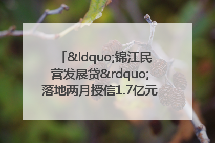 “锦江民营发展贷”落地两月授信1.7亿元，惠及118家民企