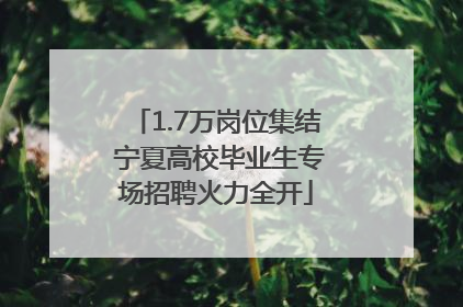 1.7万岗位集结 宁夏高校毕业生专场招聘火力全开