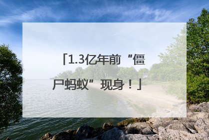 1.3亿年前“僵尸蚂蚁”现身！