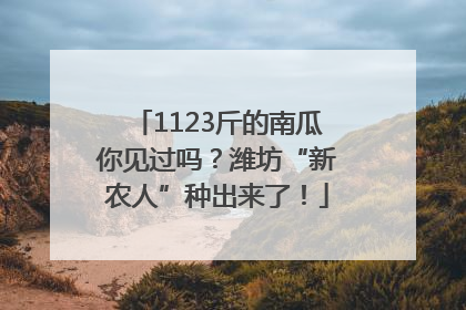 1123斤的南瓜你见过吗？潍坊“新农人”种出来了！