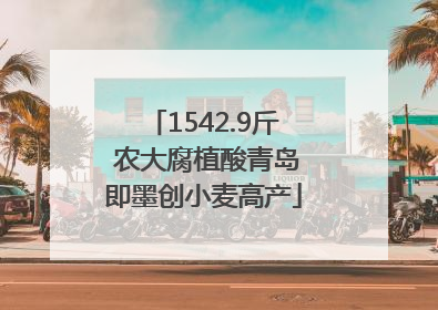 1542.9斤 农大腐植酸青岛即墨创小麦高产