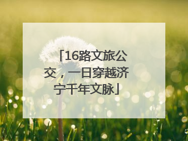 16路文旅公交，一日穿越济宁千年文脉