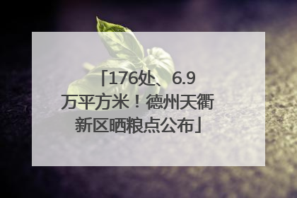 176处、6.9万平方米！德州天衢新区晒粮点公布