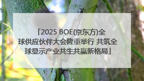 2025 BOE(京东方)全球供应伙伴大会隆重举行 共筑全球显示产业共生共赢新格局