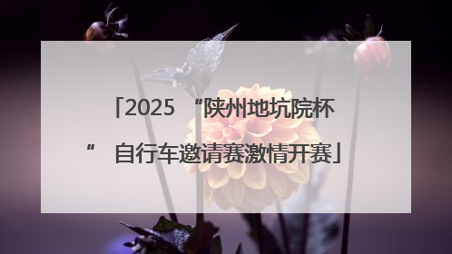 2025 “陕州地坑院杯” 自行车邀请赛激情开赛