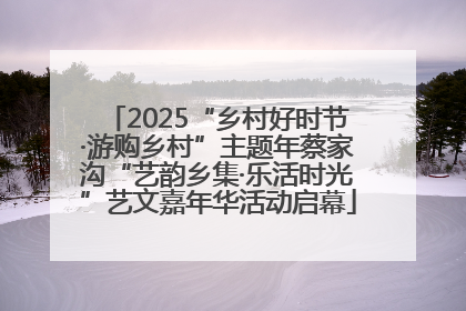 2025“乡村好时节·游购乡村”主题年蔡家沟“艺韵乡集·乐活时光”艺文嘉年华活动启幕