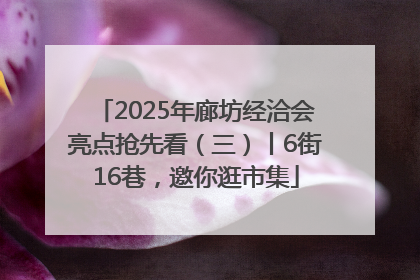 2025年廊坊经洽会亮点抢先看（三）丨6街16巷，邀你逛市集