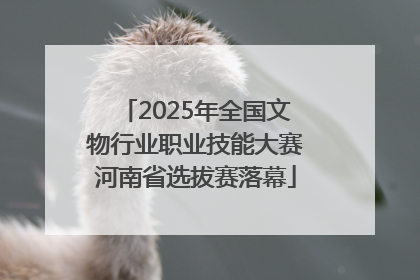 2025年全国文物行业职业技能大赛河南省选拔赛落幕