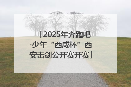 2025年奔跑吧·少年“西咸杯”西安击剑公开赛开赛