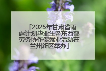 2025年甘肃省雨露计划毕业生暨东西部劳务协作促就业活动在兰州新区举办