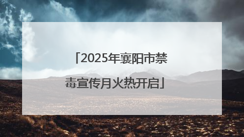 2025年襄阳市禁毒宣传月火热开启